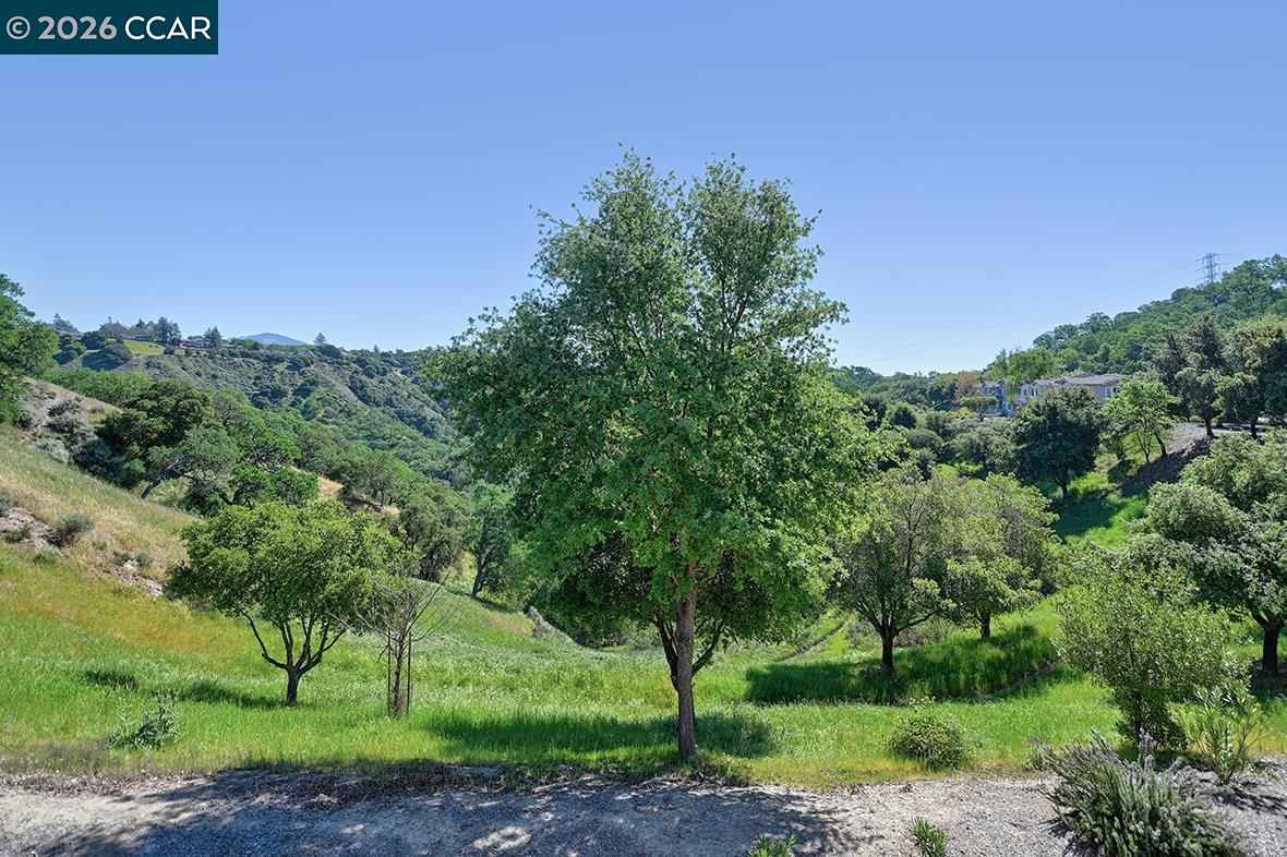 Photo #14: 41128135 Listing: Photo #14