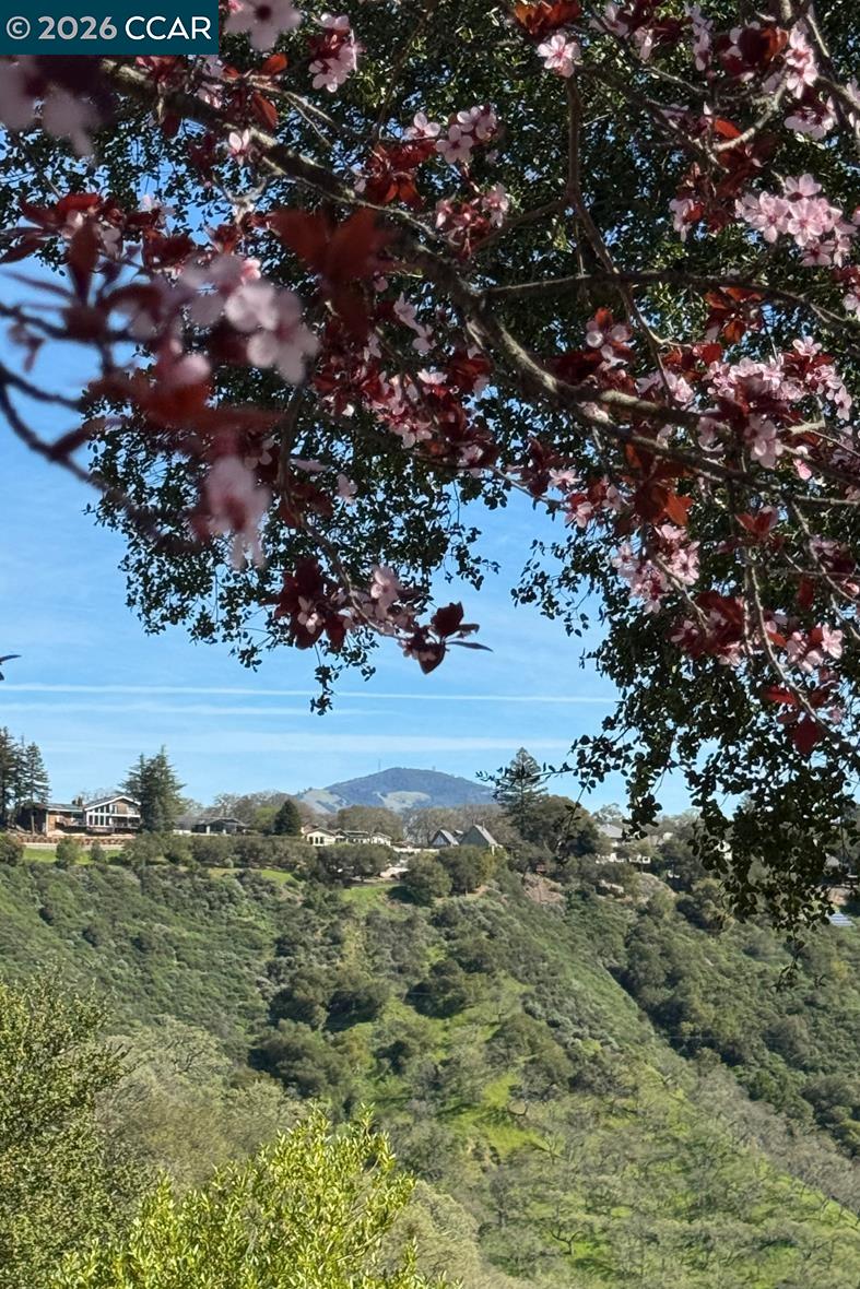 Photo #55: 41128135 Listing: Photo #55