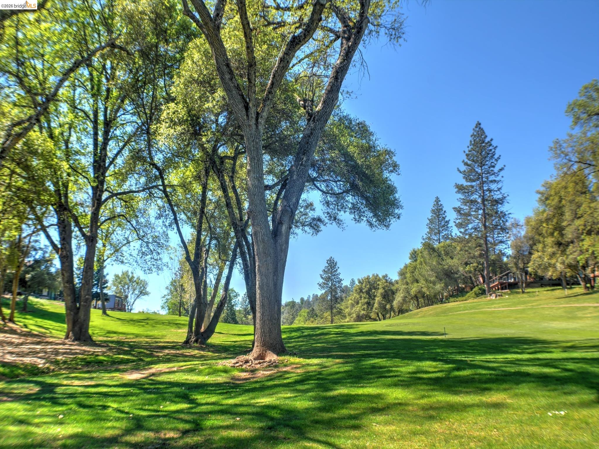 Detail Gallery Image 26 of 39 For 19166 Dyer Ct, Groveland,  CA 95321 - 2 Beds | 2 Baths