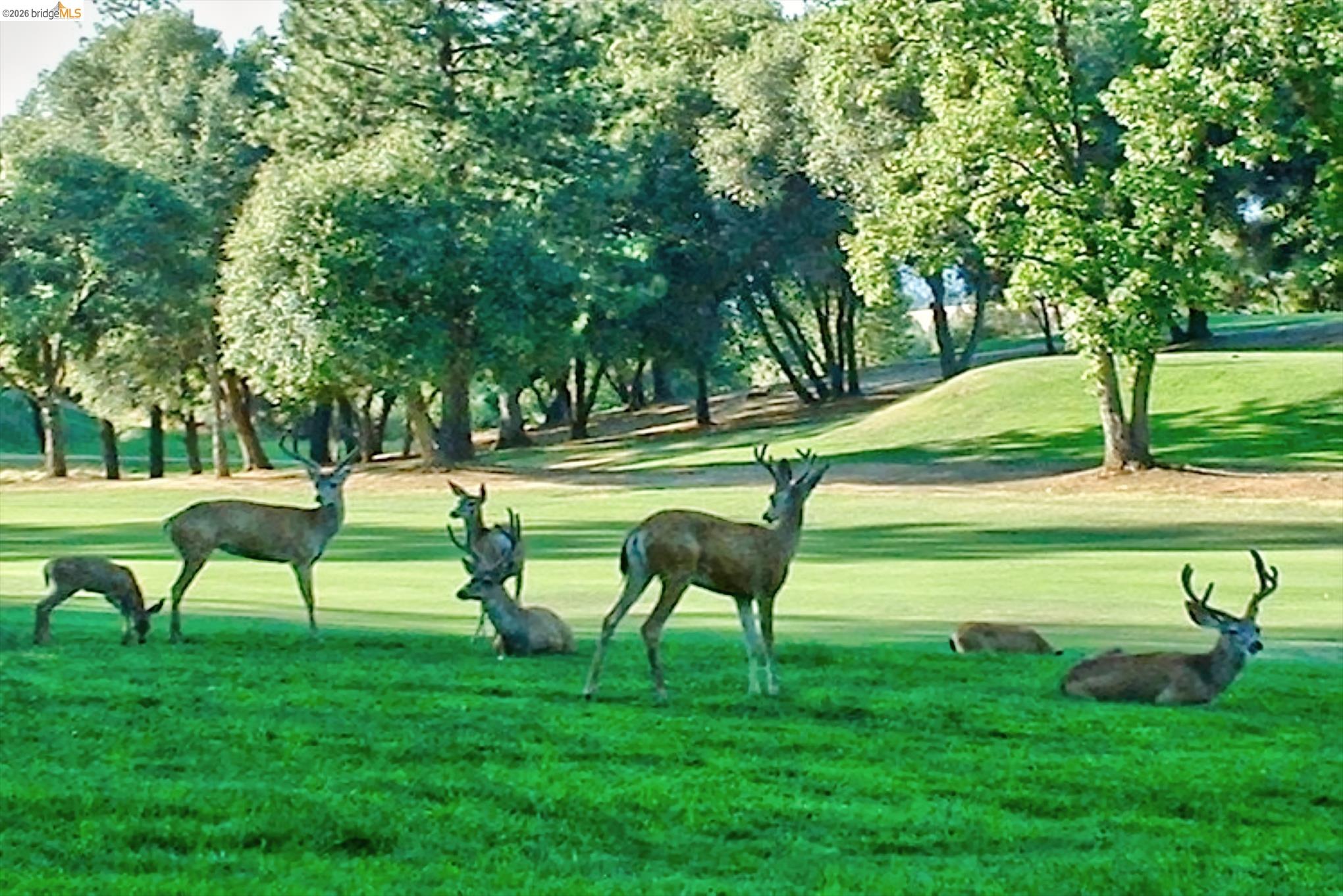 Detail Gallery Image 27 of 39 For 19166 Dyer Ct, Groveland,  CA 95321 - 2 Beds | 2 Baths