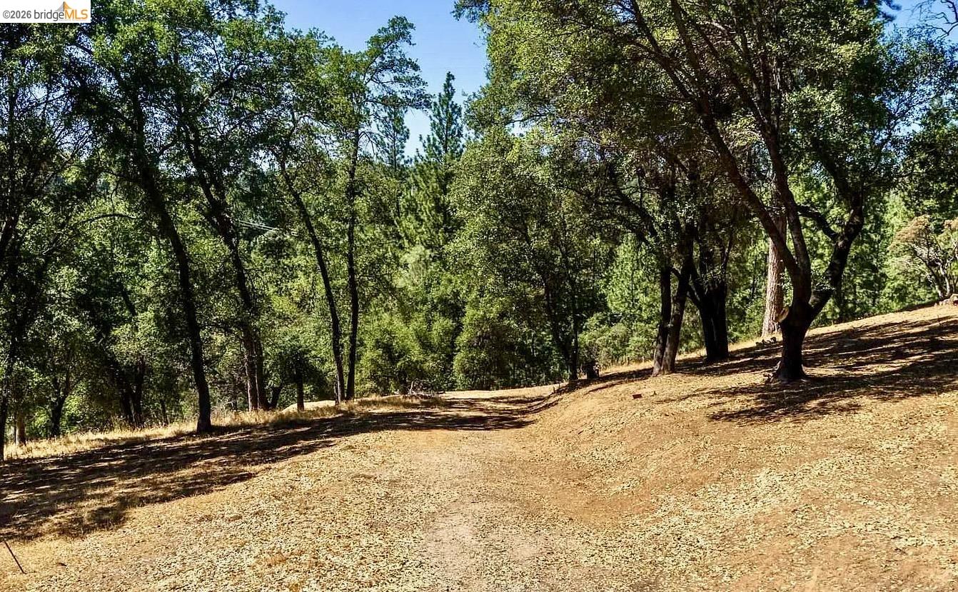 Detail Gallery Image 9 of 9 For 3-154 Boitano Rd, Groveland,  CA 95321 - – Beds | – Baths