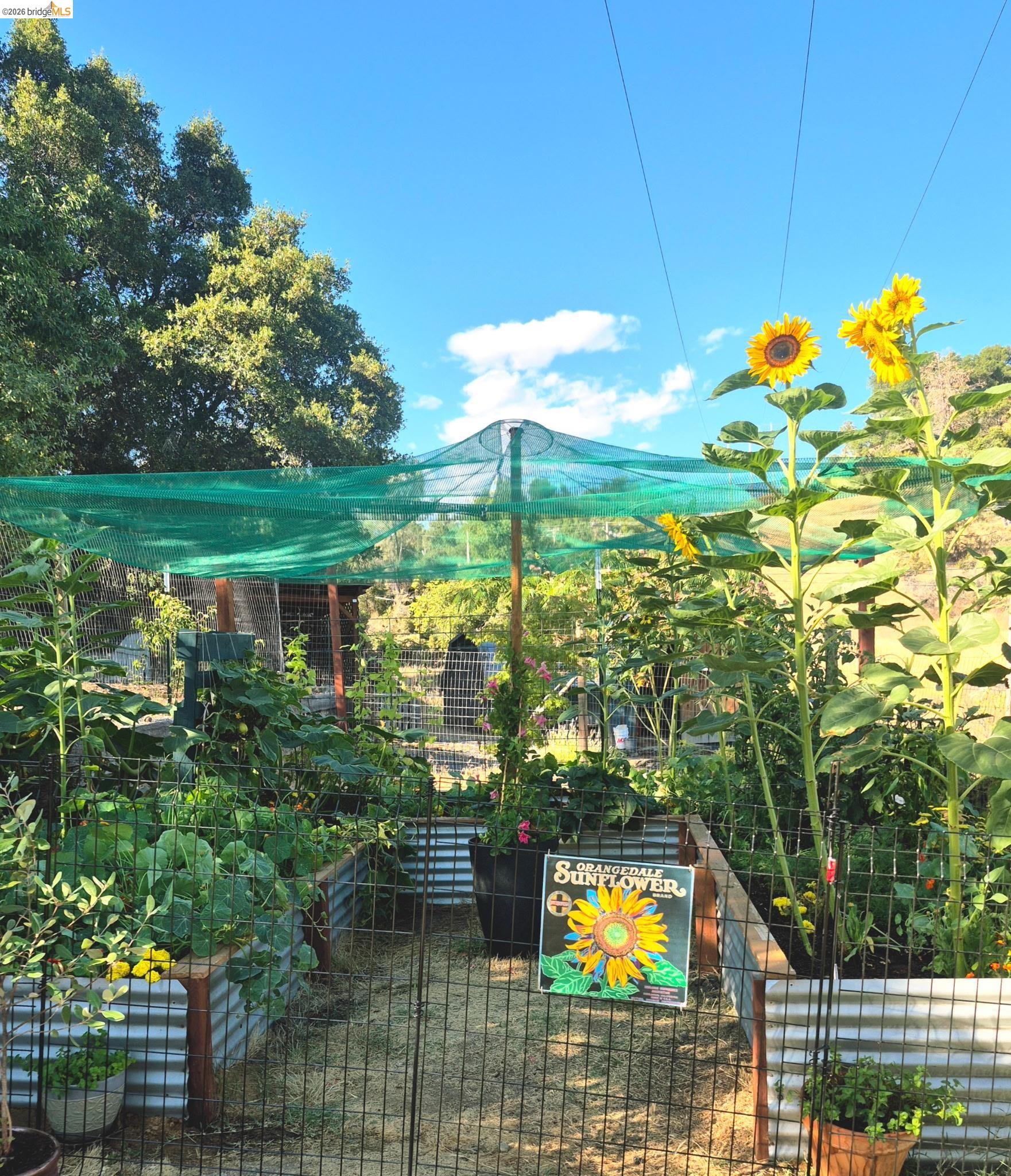 Detail Gallery Image 3 of 34 For 20870 Lynn Ln, Sonora,  CA 95370 - 3 Beds | 2/1 Baths