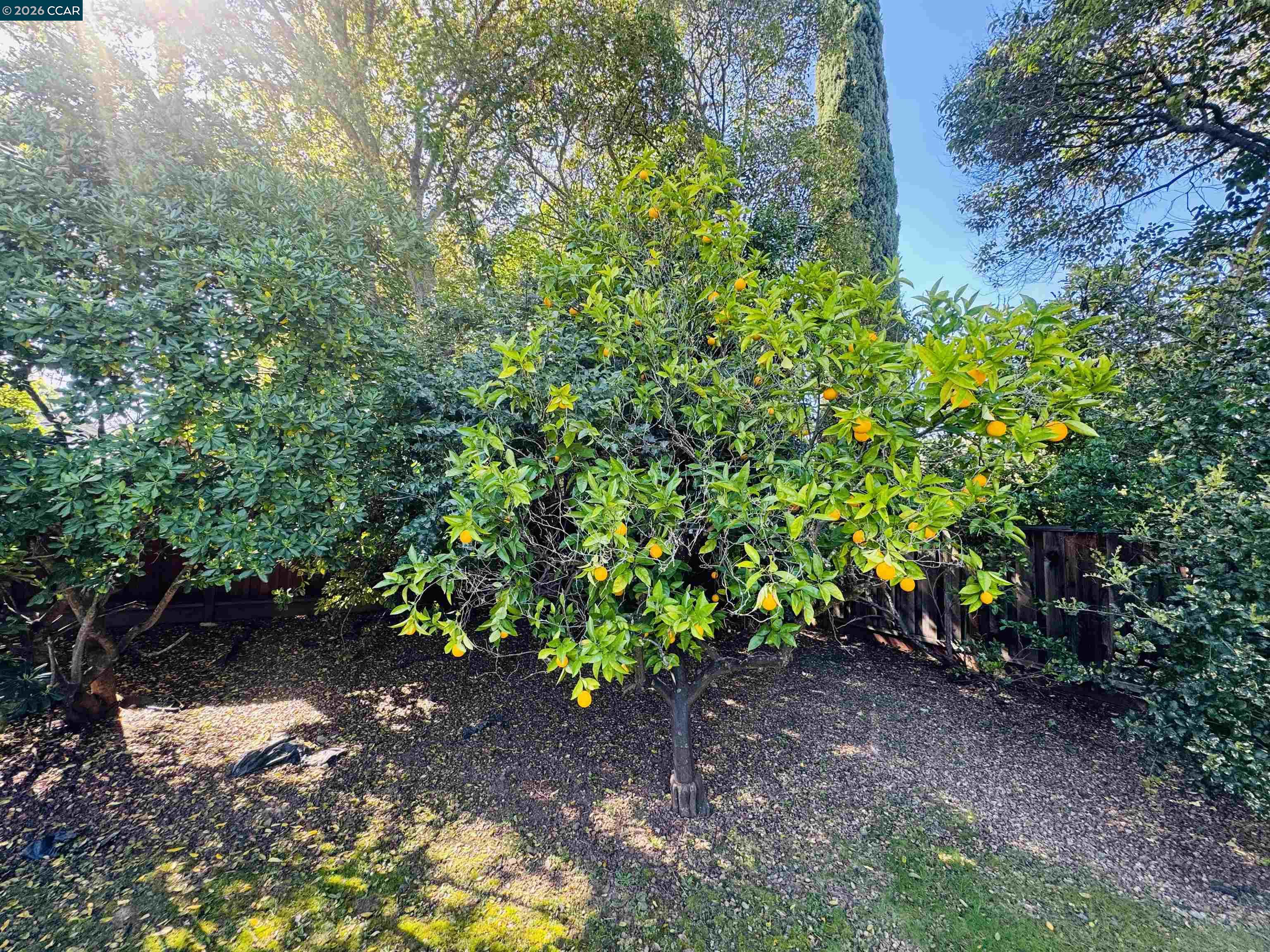 Detail Gallery Image 42 of 43 For 103 Castle Rock Road, Walnut Creek,  CA 94598 - 5 Beds | 3 Baths