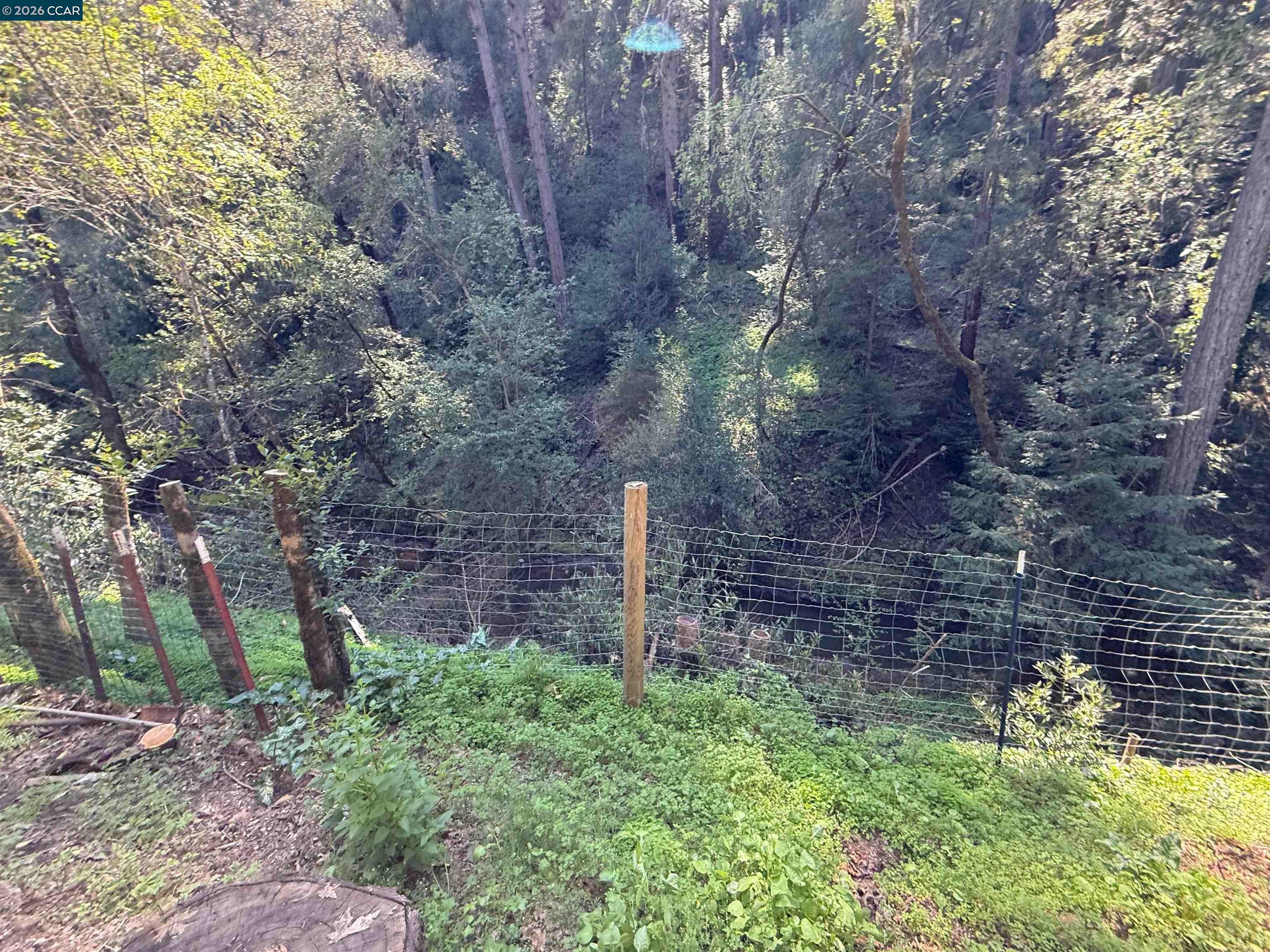 Detail Gallery Image 18 of 28 For 5680 Dry Creek Rd, Napa,  CA 94558 - 2 Beds | 1 Baths