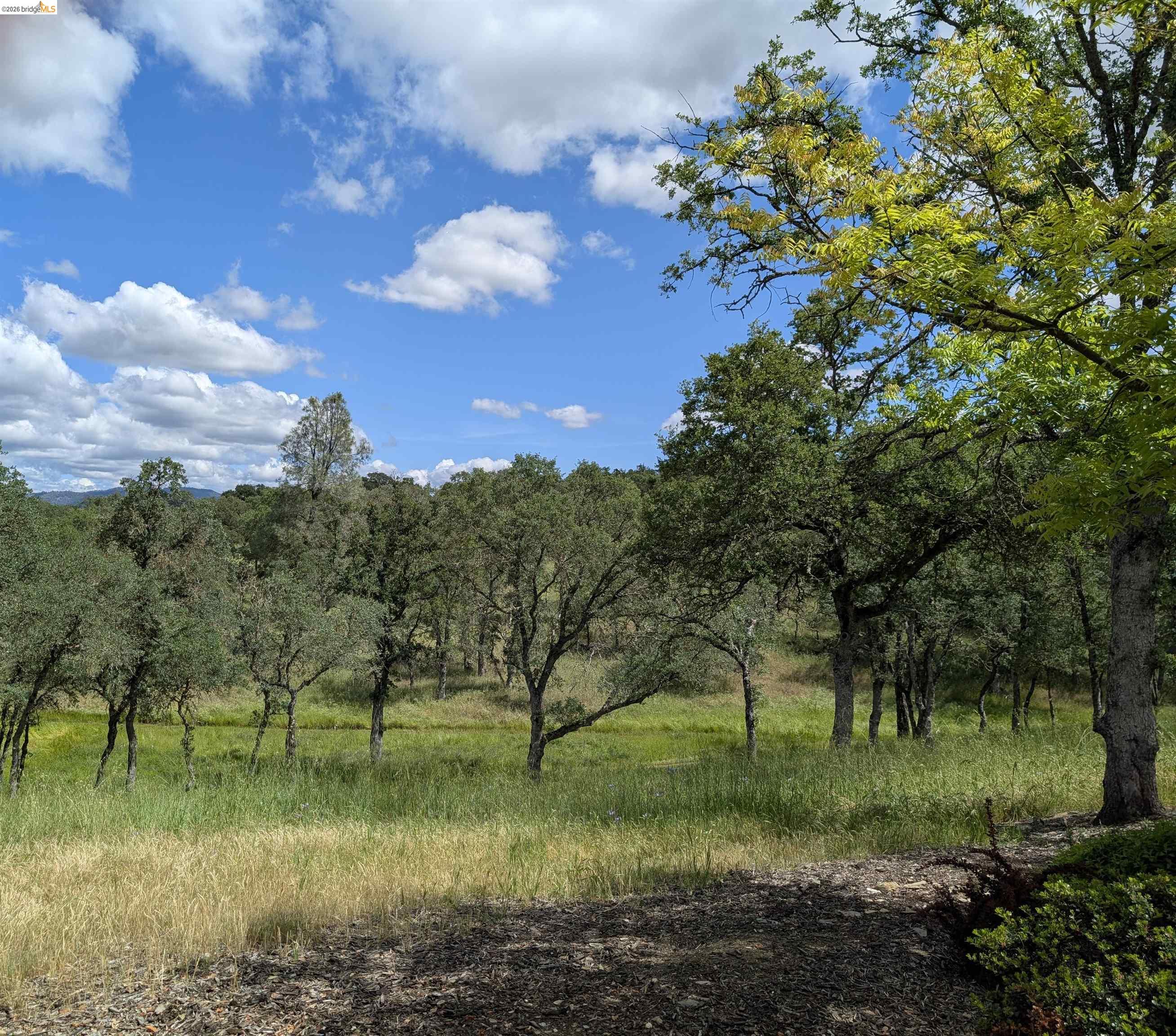 Detail Gallery Image 62 of 62 For 16 Rock Ridge, Copperopolis,  CA 95228 - 3 Beds | 2/1 Baths