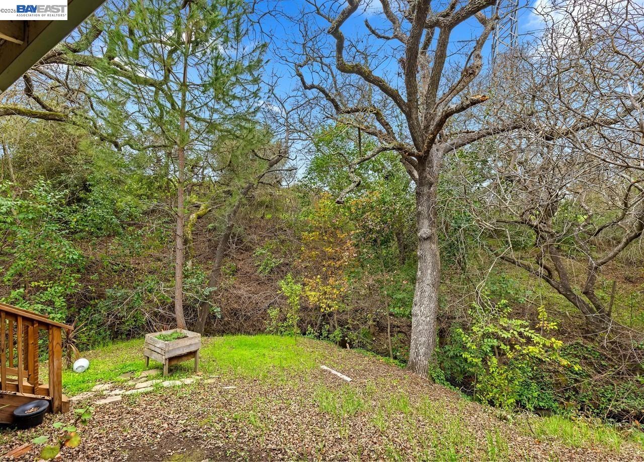 Photo #25: 41128312 Listing: Photo #25