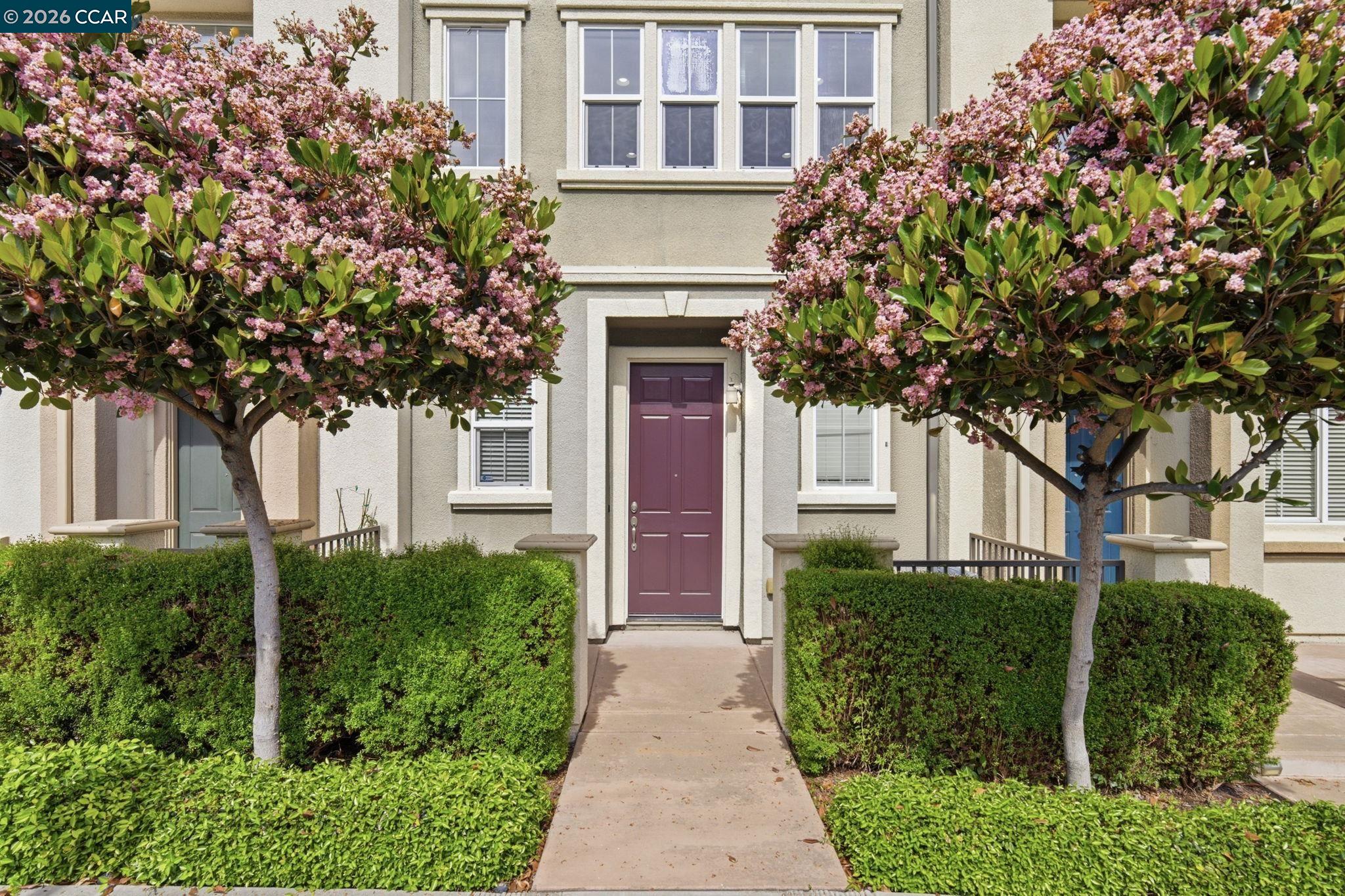 Photo #3: 41128318 Listing: Photo #3