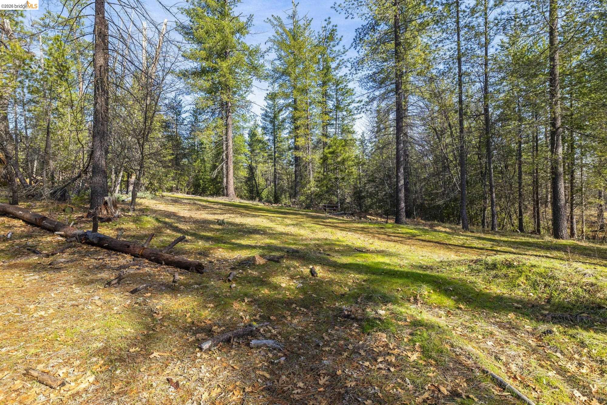 Detail Gallery Image 28 of 41 For 9721 Manzanita Way, Coulterville,  CA 95311 - 3 Beds | 2 Baths