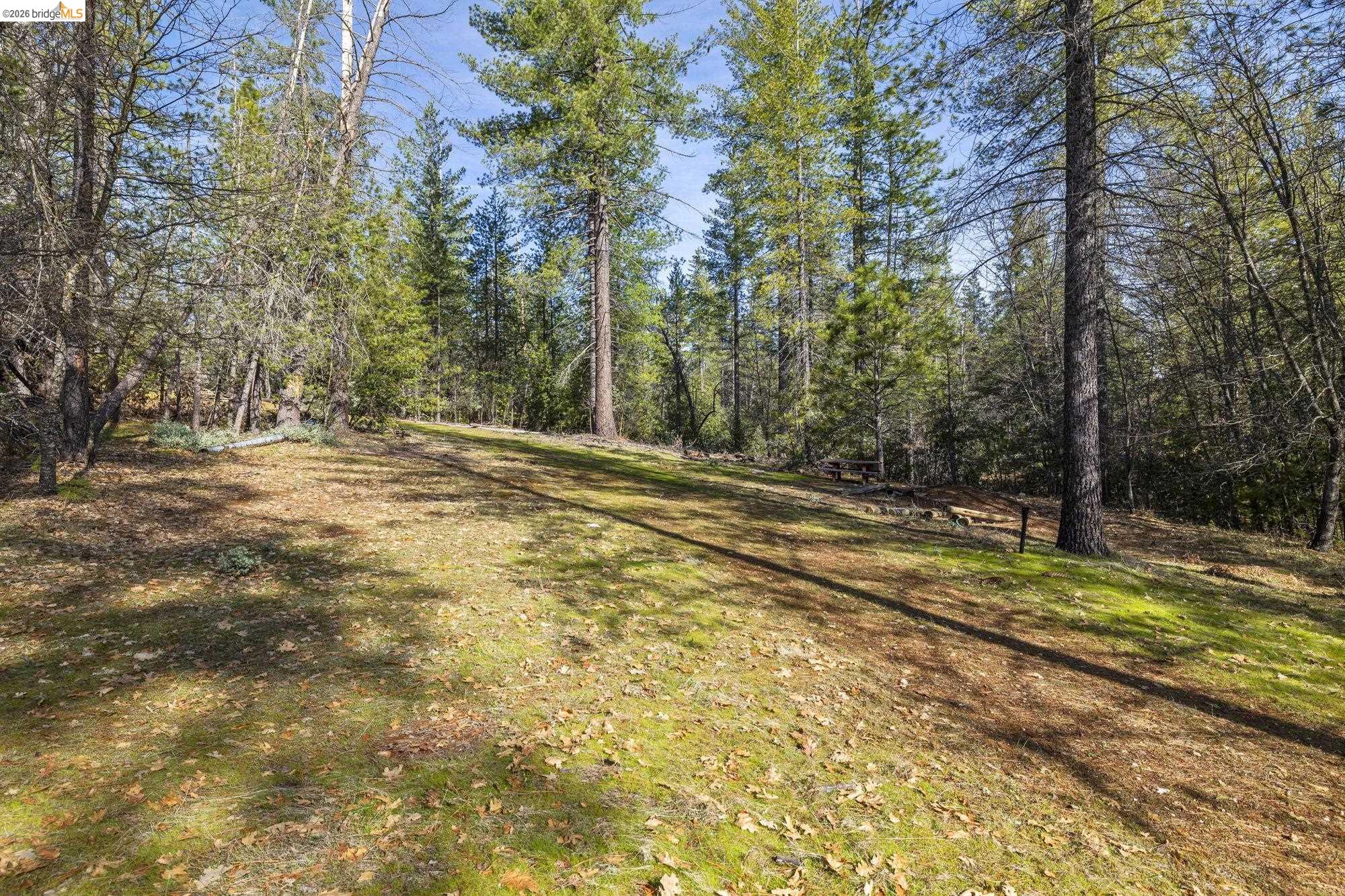 Detail Gallery Image 29 of 41 For 9721 Manzanita Way, Coulterville,  CA 95311 - 3 Beds | 2 Baths