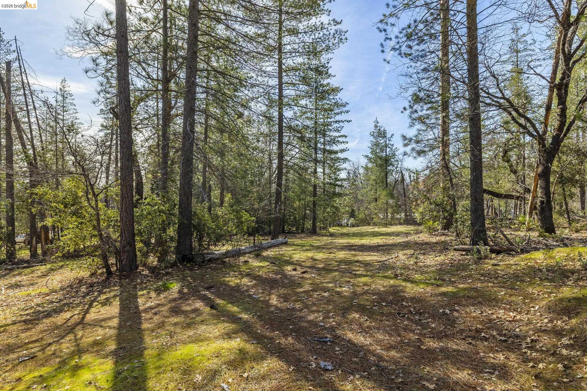 Detail Gallery Image 30 of 41 For 9721 Manzanita Way, Coulterville,  CA 95311 - 3 Beds | 2 Baths