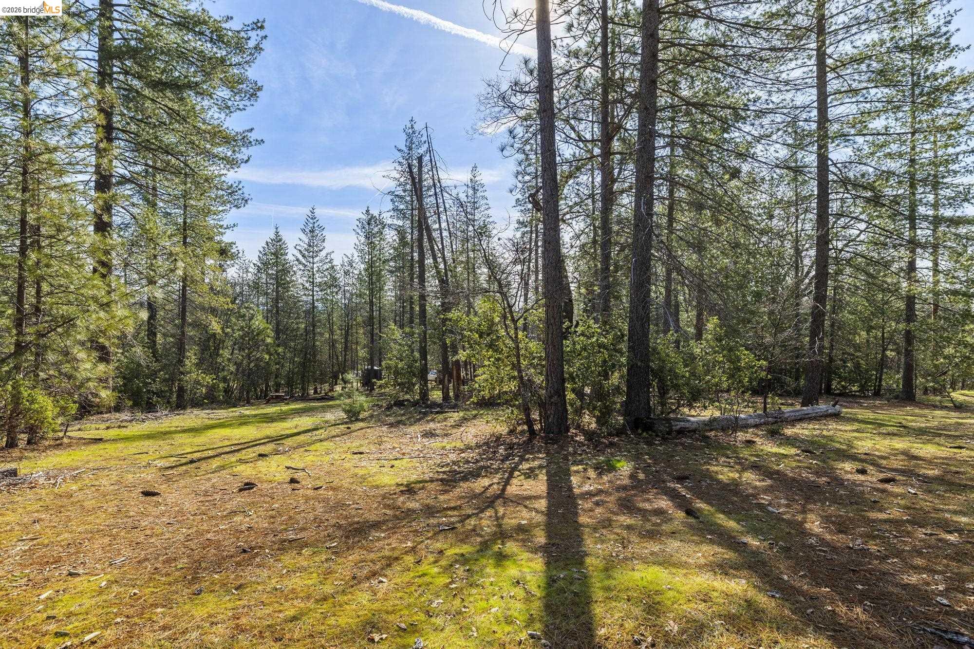 Detail Gallery Image 31 of 41 For 9721 Manzanita Way, Coulterville,  CA 95311 - 3 Beds | 2 Baths