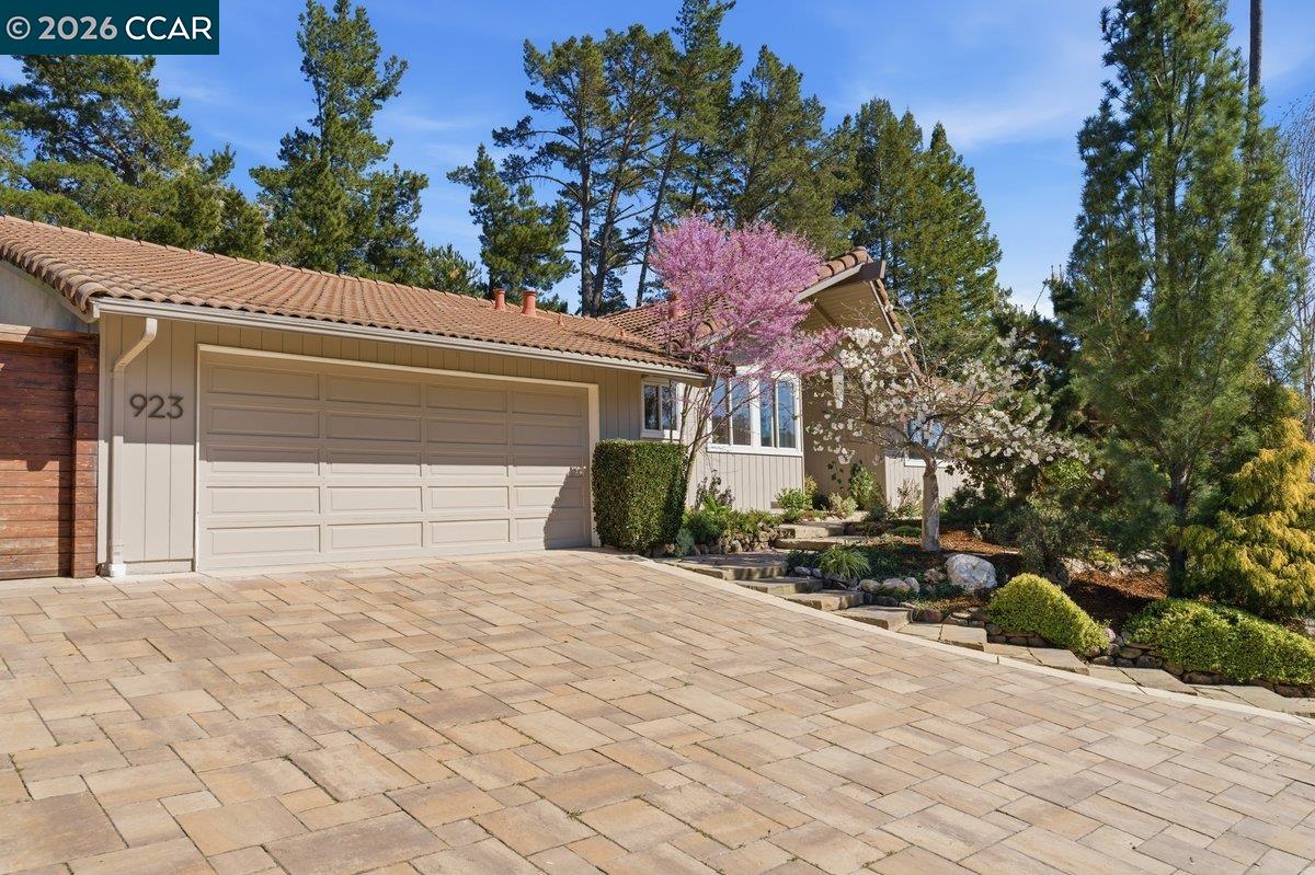Front Image Thumbnail for CC41128330