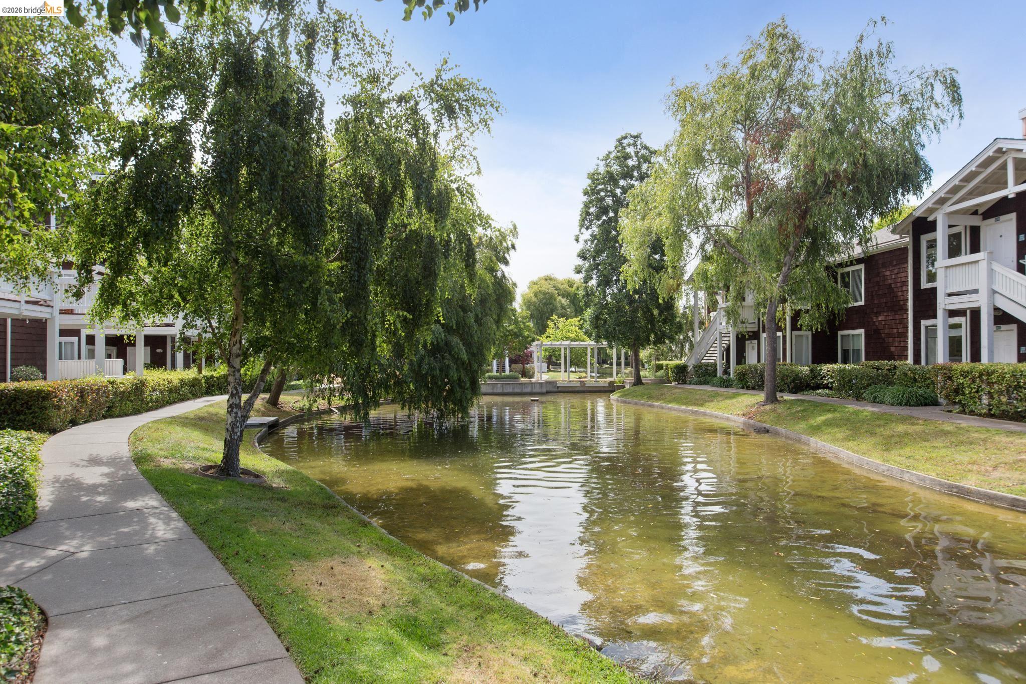 Photo #35: 41128338 Listing: Photo #35