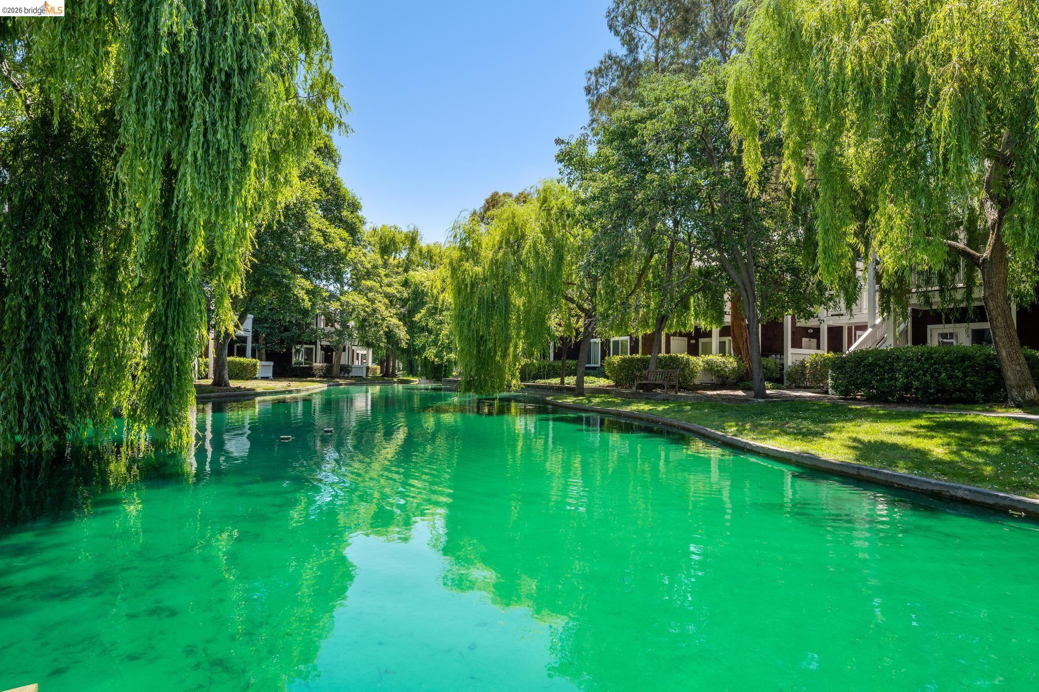 Photo #36: 41128338 Listing: Photo #36