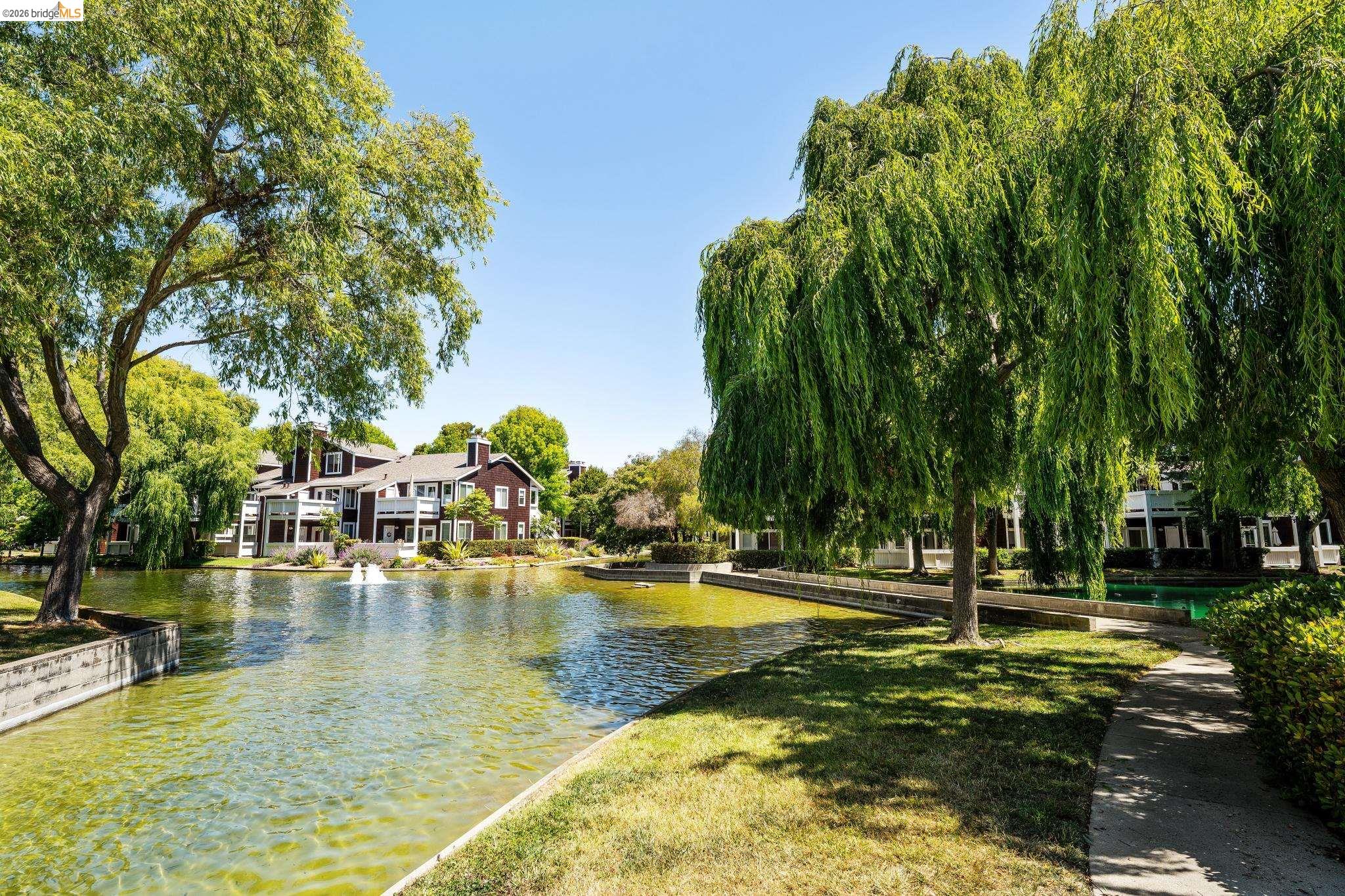 Photo #37: 41128338 Listing: Photo #37