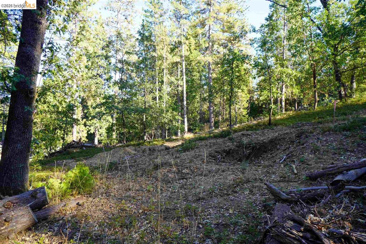 Detail Gallery Image 3 of 8 For 157 Canyon View, –,  CA 95233 - – Beds | – Baths