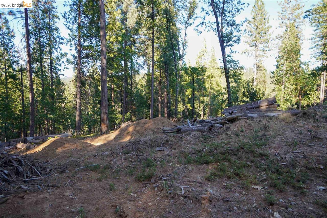 Detail Gallery Image 8 of 8 For 157 Canyon View, –,  CA 95233 - – Beds | – Baths