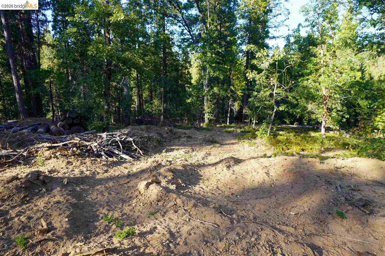 Detail Gallery Image 2 of 10 For 169 Canyon View, –,  CA 95233 - – Beds | – Baths