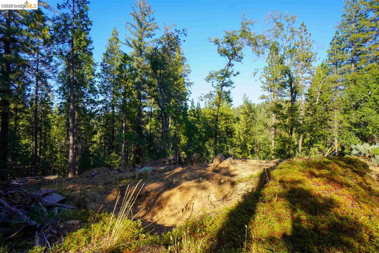 Detail Gallery Image 4 of 10 For 169 Canyon View, –,  CA 95233 - – Beds | – Baths