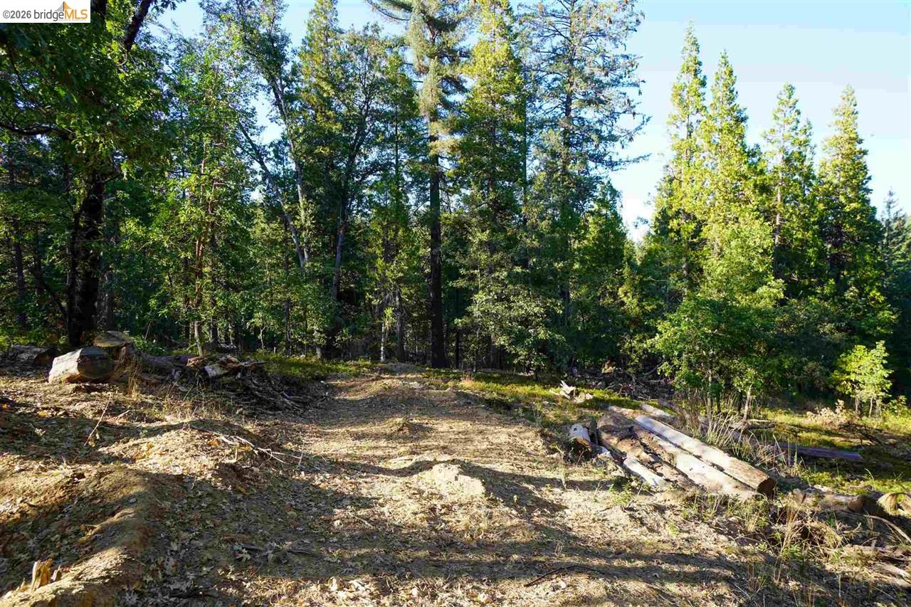 Detail Gallery Image 5 of 10 For 169 Canyon View, –,  CA 95233 - – Beds | – Baths