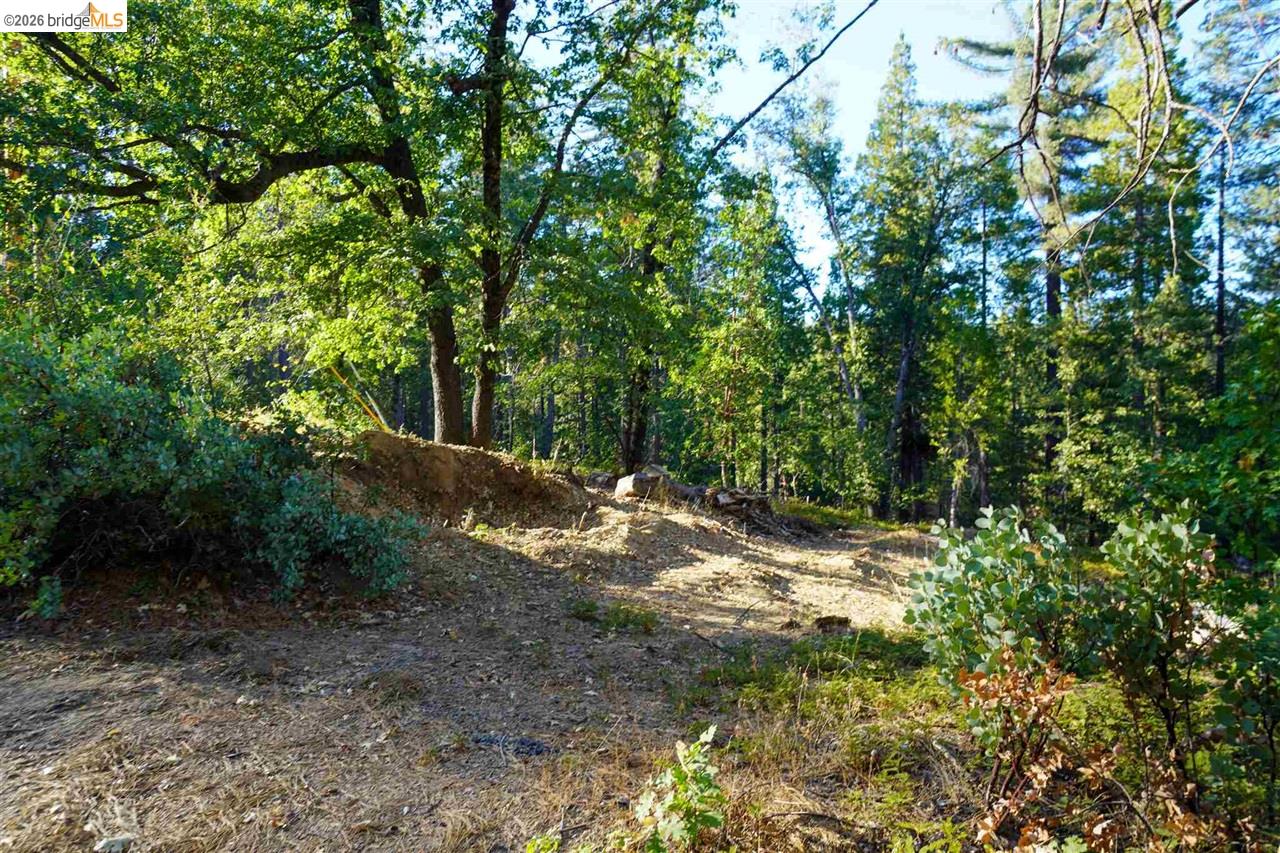 Detail Gallery Image 6 of 10 For 169 Canyon View, –,  CA 95233 - – Beds | – Baths