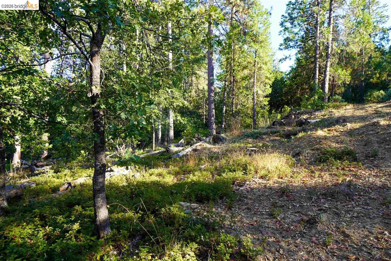 Detail Gallery Image 7 of 10 For 169 Canyon View, –,  CA 95233 - – Beds | – Baths