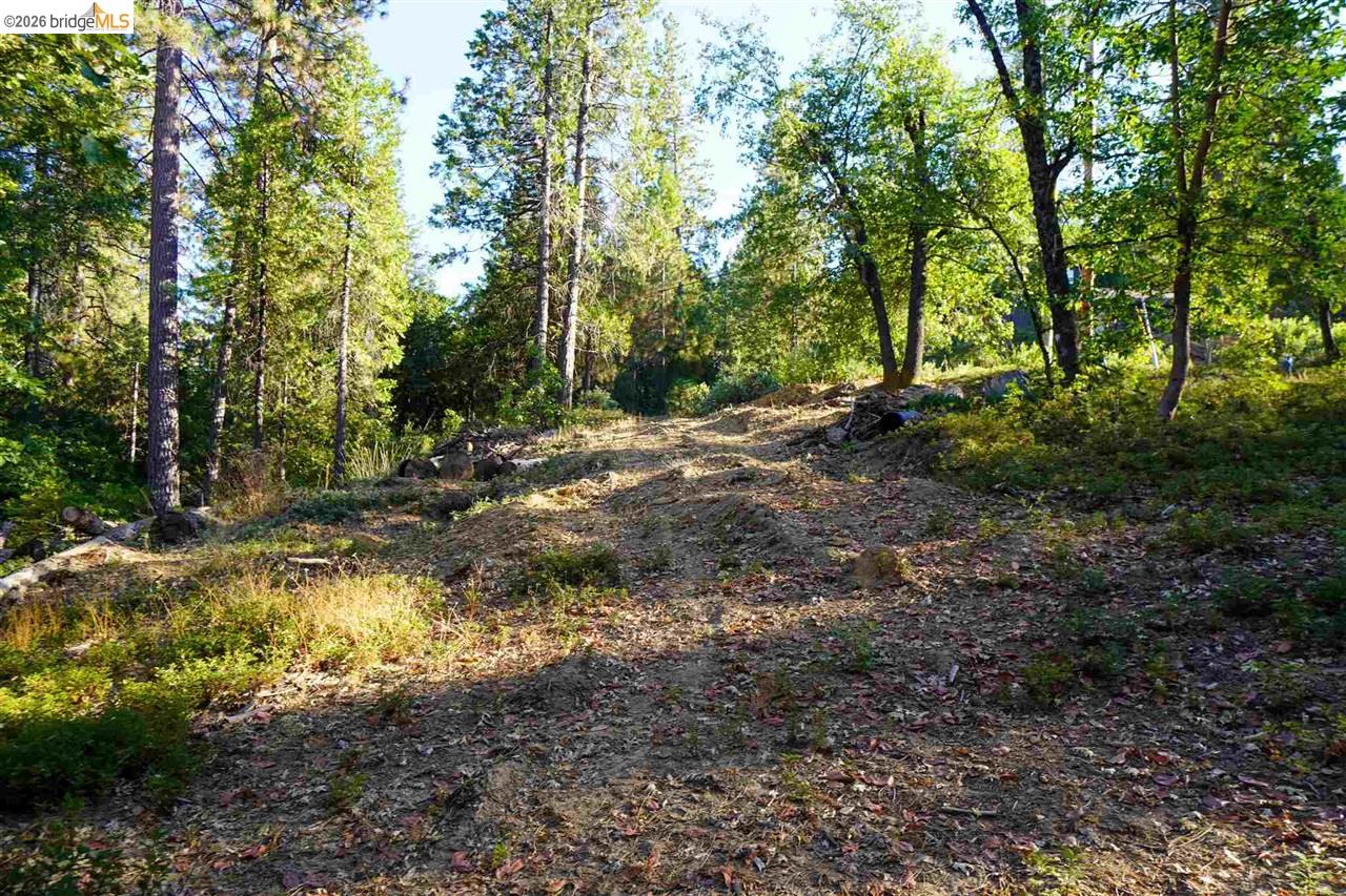 Detail Gallery Image 8 of 10 For 169 Canyon View, –,  CA 95233 - – Beds | – Baths