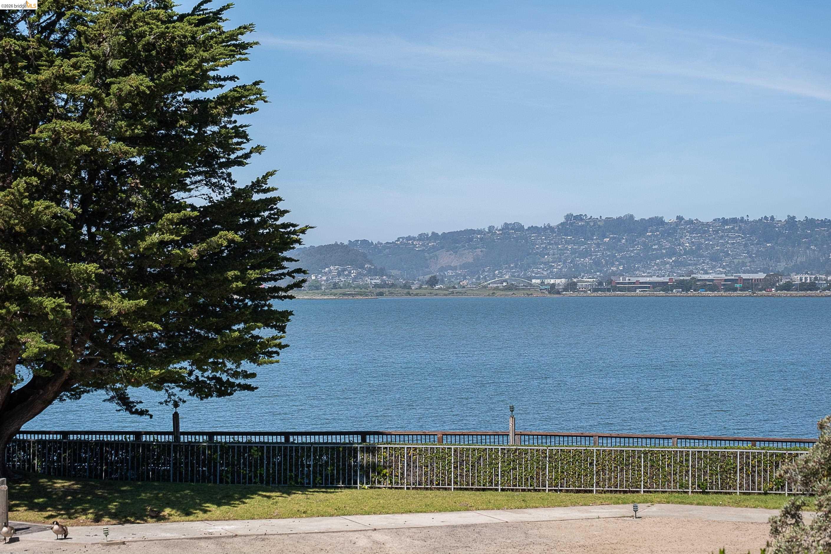 Photo #34: 41128398 Listing: Photo #34