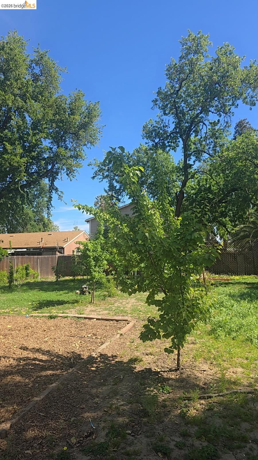 Detail Gallery Image 22 of 26 For 135 4th St, Woodland,  CA 95695 - 6 Beds | 4 Baths