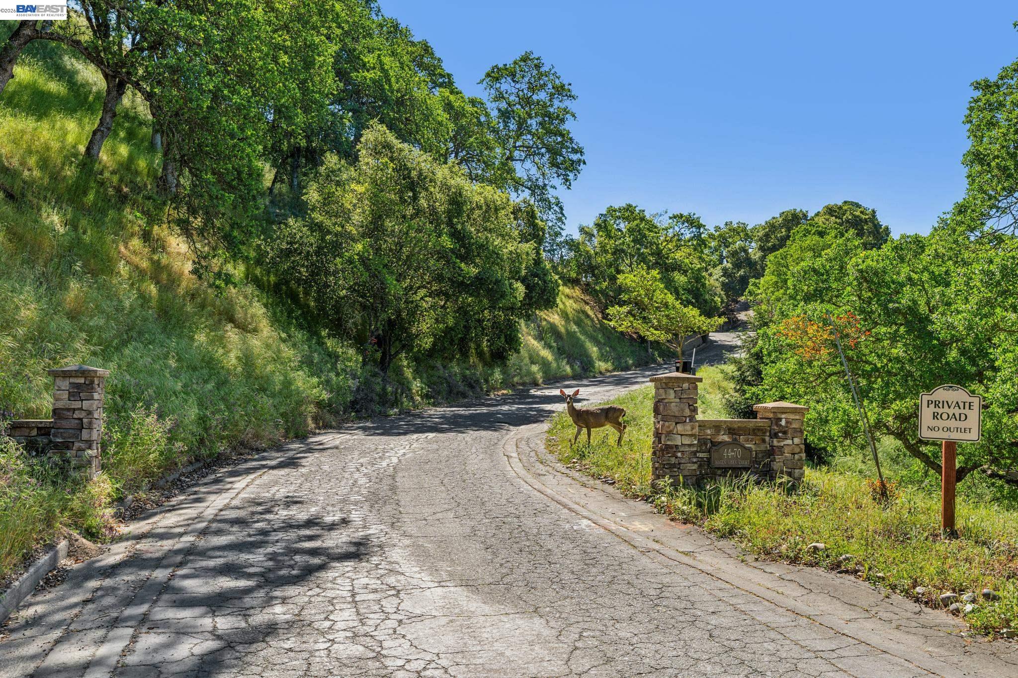 Detail Gallery Image 50 of 56 For 44 Hagen Oaks Ct, Alamo,  CA 94507 - 3 Beds | 2/1 Baths
