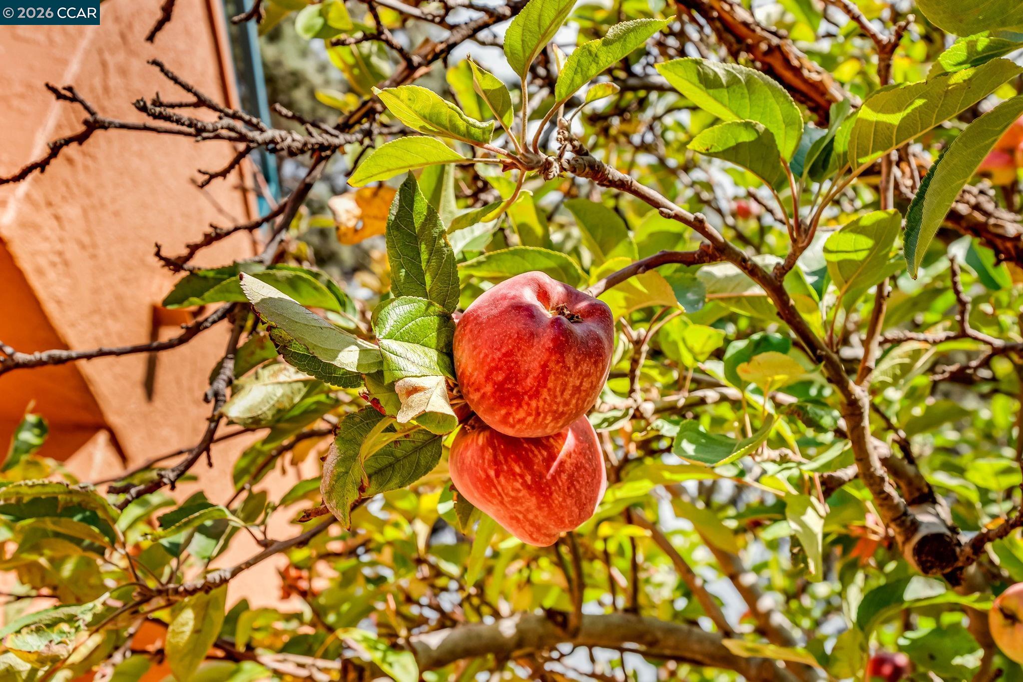 Detail Gallery Image 25 of 44 For 196 Nantucket Lane, Vallejo,  CA 94590 - 1 Beds | 1 Baths