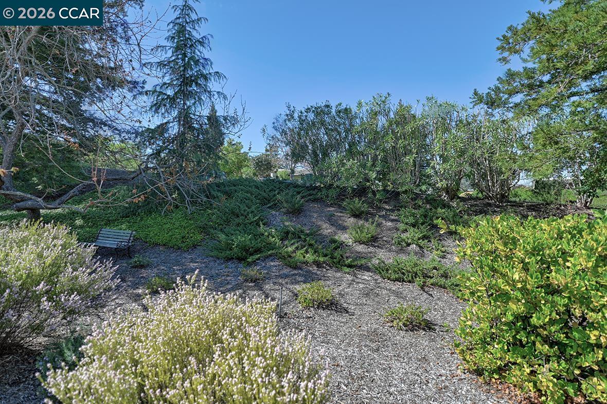 Photo #13: 41128405 Listing: Photo #13