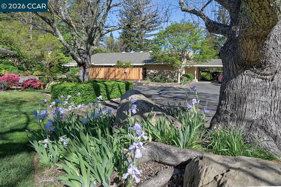 Photo #47: 41128405 Listing: Photo #47