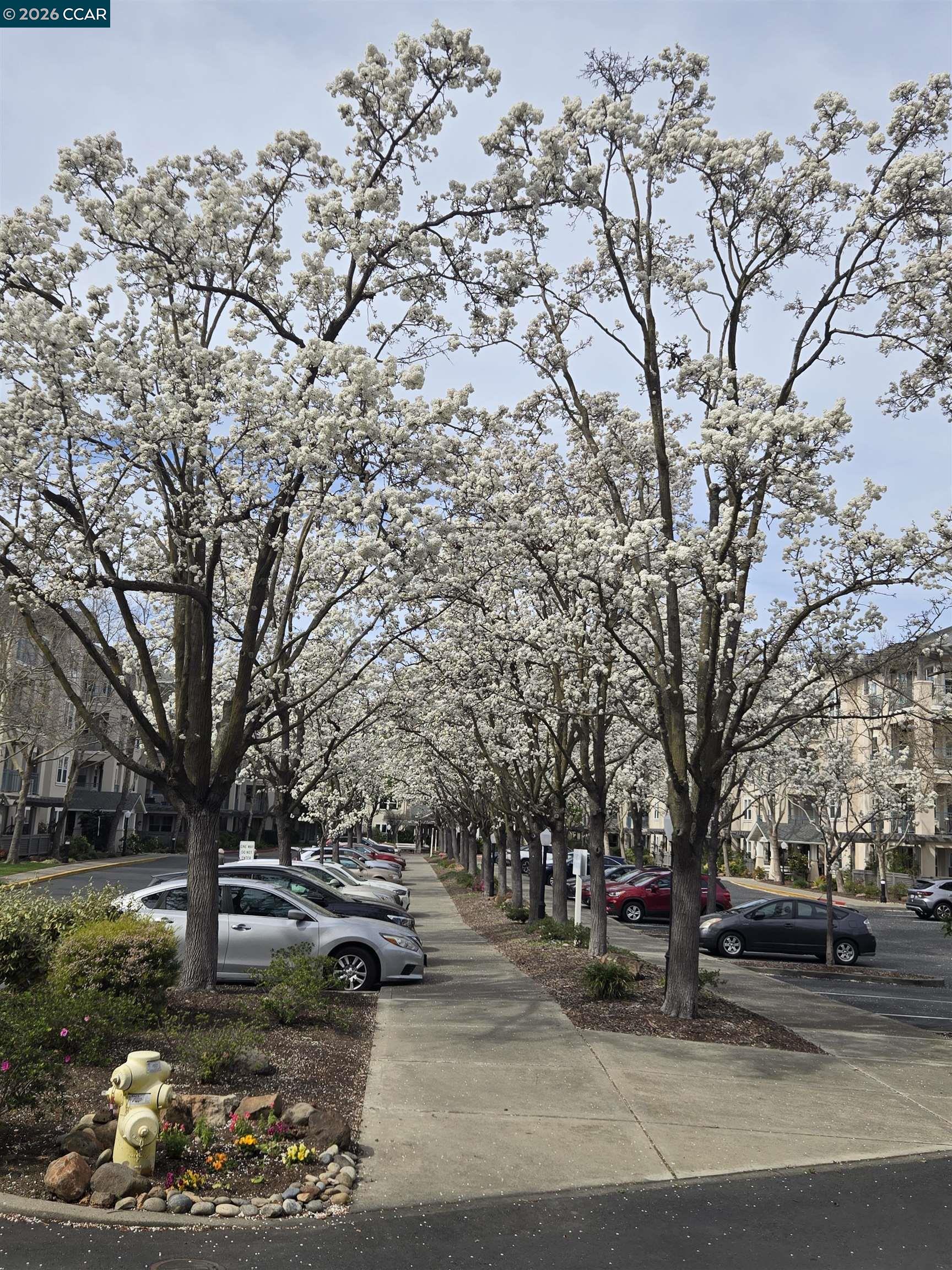 Detail Gallery Image 38 of 44 For 1124 Singingwood Ct #2,  Walnut Creek,  CA 94595 - 2 Beds | 2 Baths