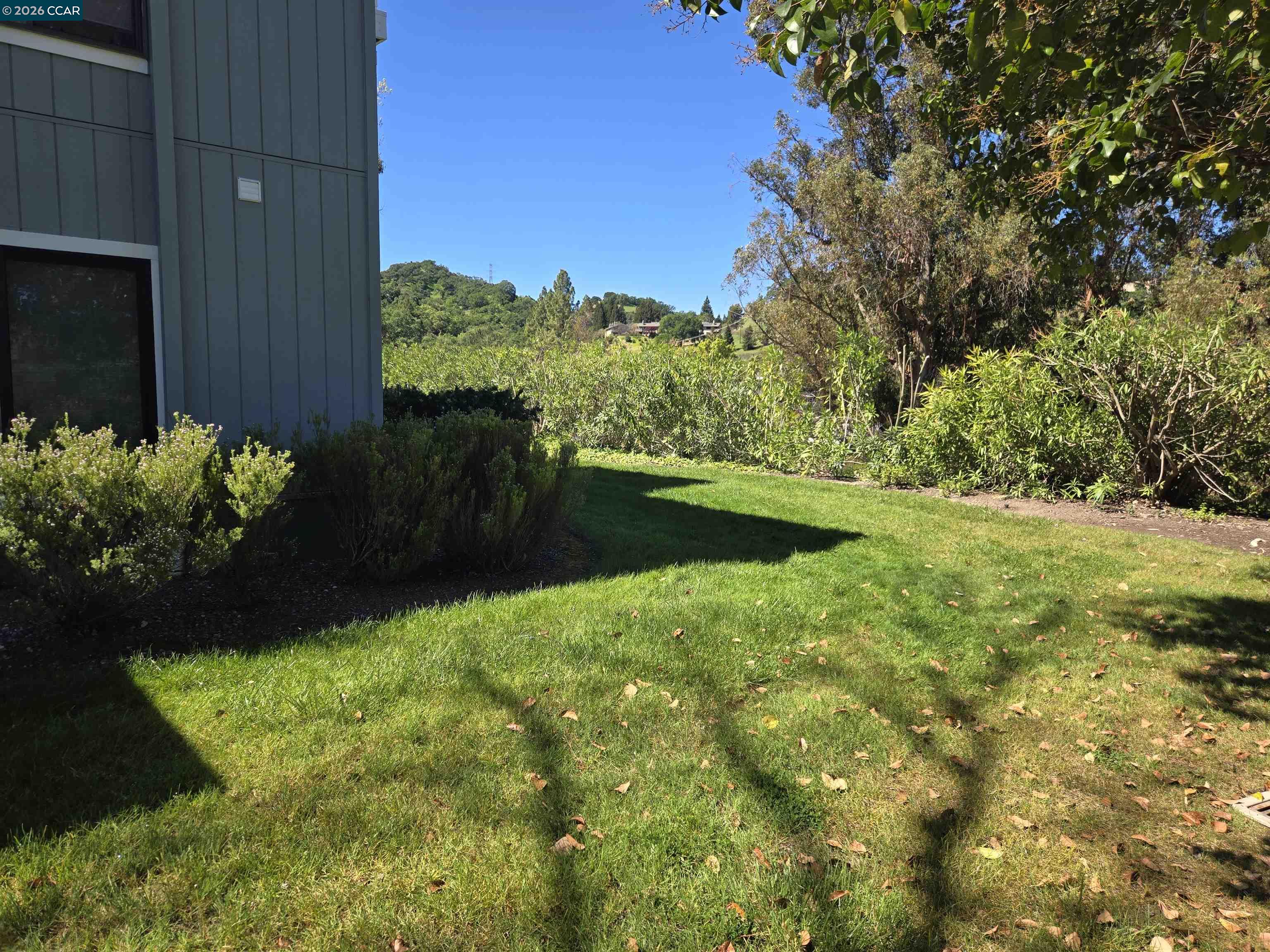 Photo #6: 41128408 Listing: Photo #6