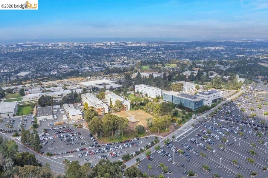 Photo #19: 41128409 Listing: Photo #19