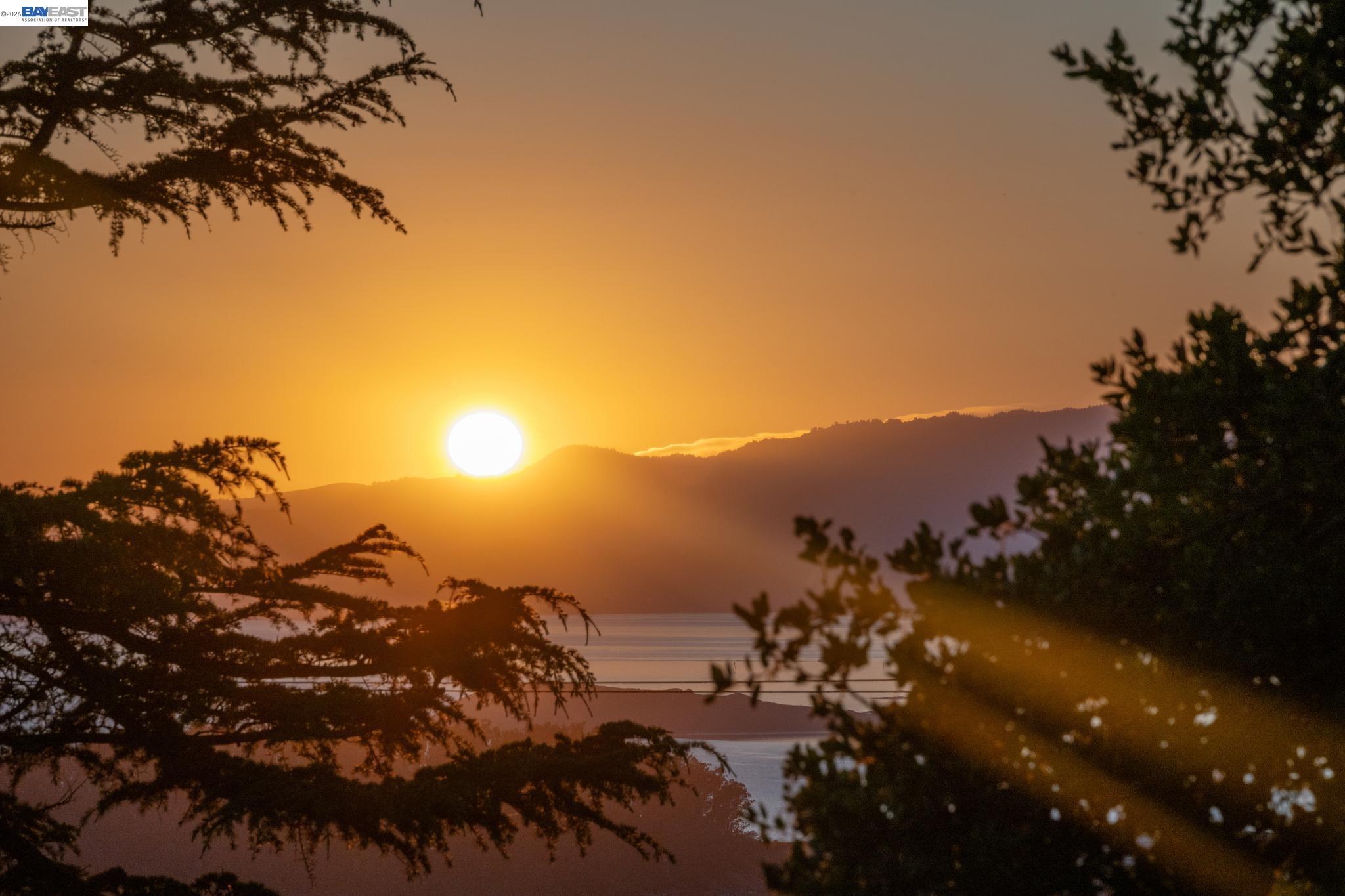 Detail Gallery Image 40 of 42 For 777 Cragmont Avenue, Berkeley,  CA 94708 - 2 Beds | 2/1 Baths