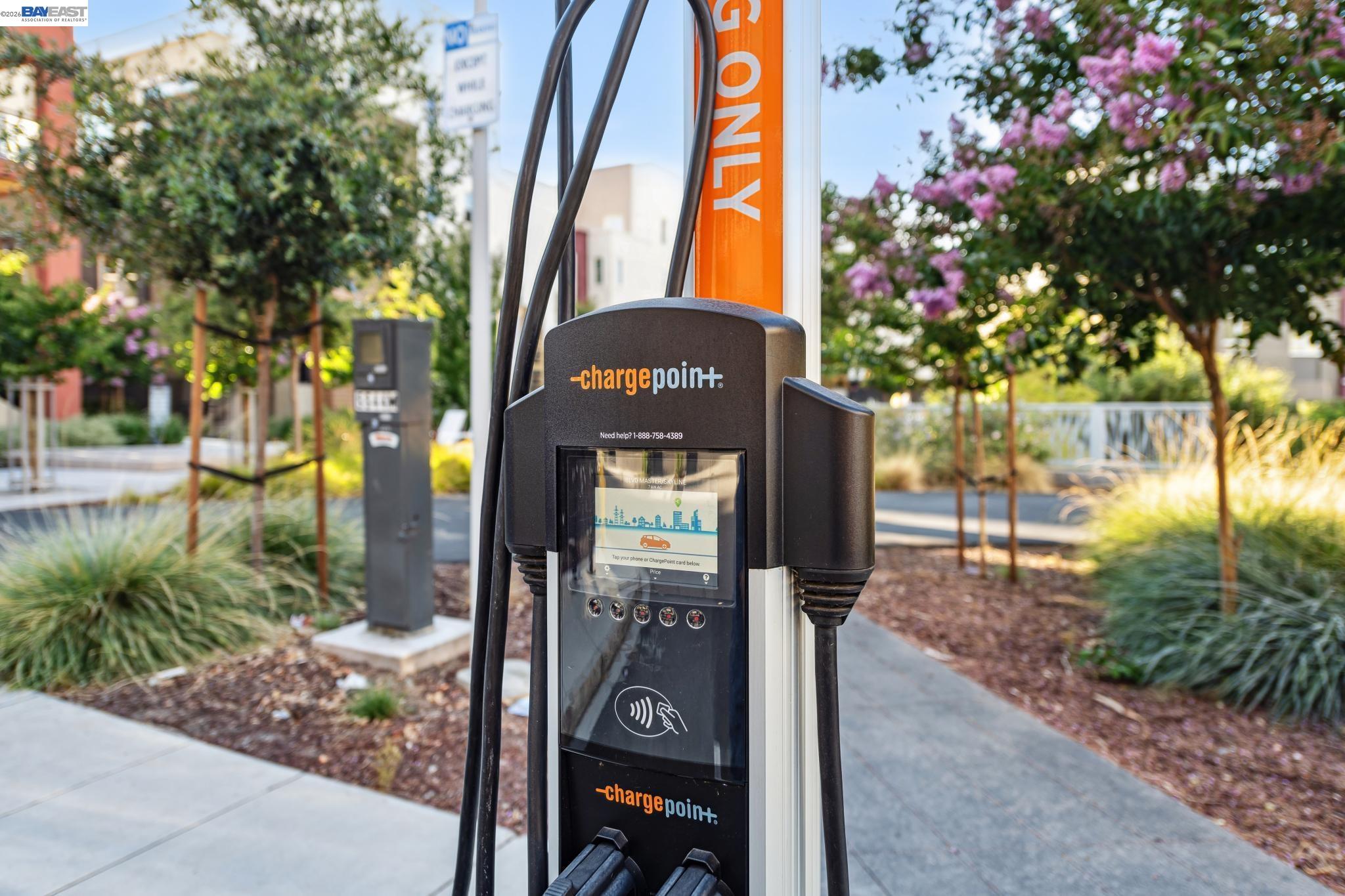 Photo #57: 41128432 Listing: Photo #57