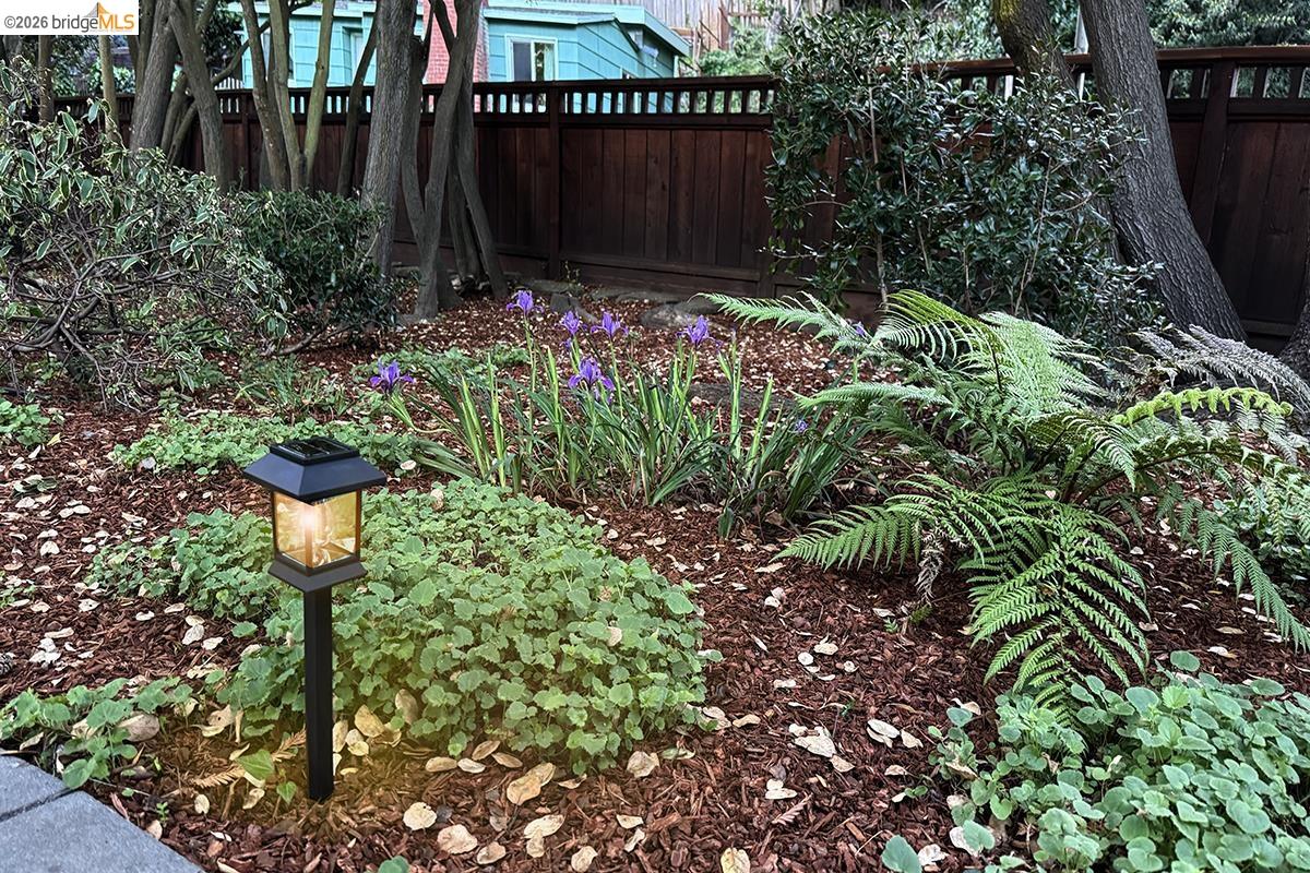 Detail Gallery Image 58 of 60 For 71 Norwood Ave, Kensington,  CA 94707 - 2 Beds | 1/1 Baths