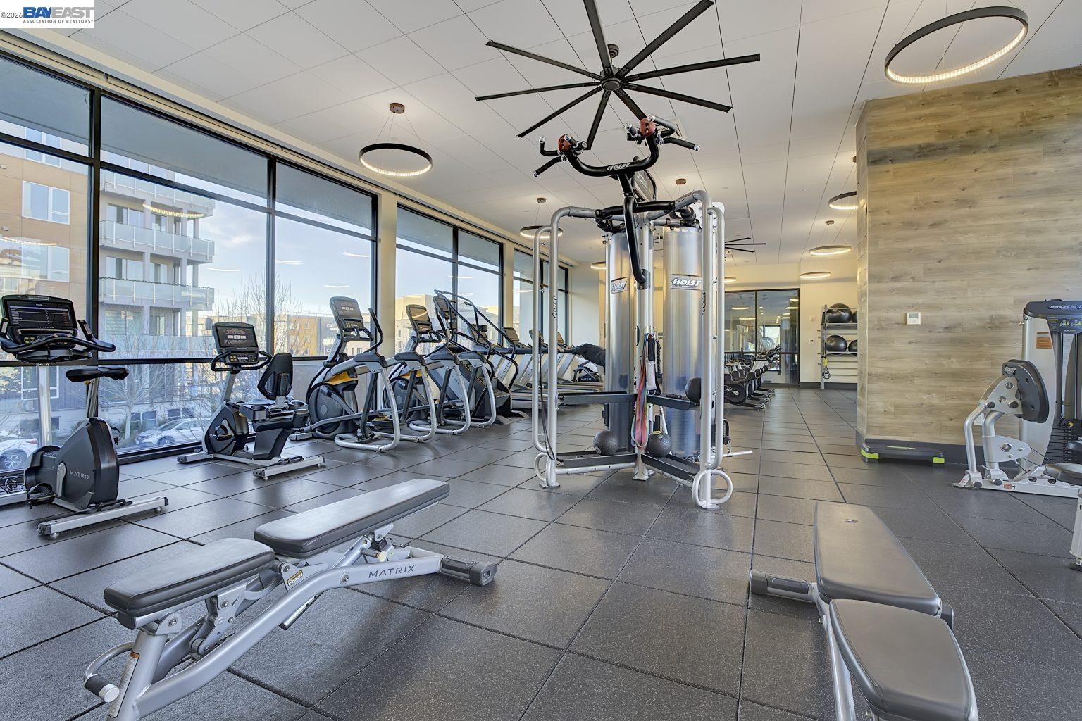 Photo #13: 41128454 Listing: Photo #13