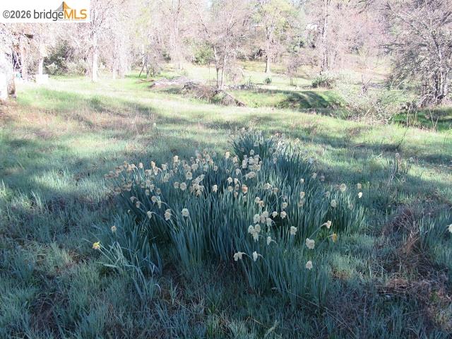 Detail Gallery Image 2 of 27 For 17060 Jupiter Dr., Twain Harte,  CA 95383 - – Beds | – Baths