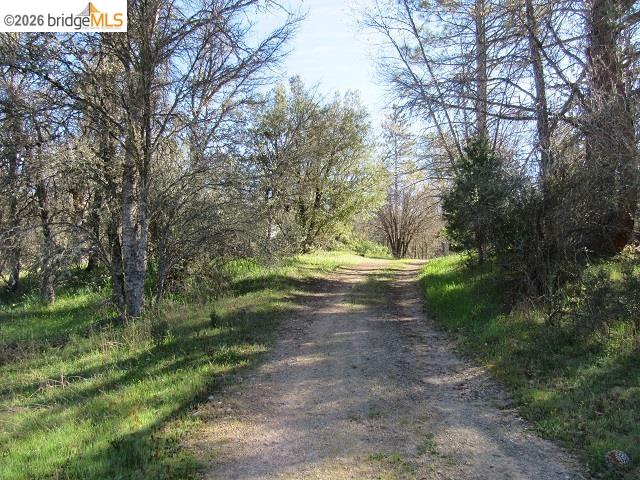 Detail Gallery Image 20 of 27 For 17060 Jupiter Dr., Twain Harte,  CA 95383 - – Beds | – Baths