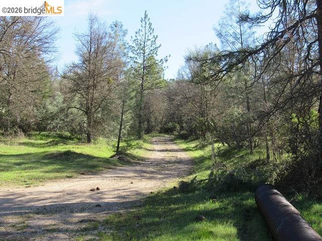 Detail Gallery Image 22 of 27 For 17060 Jupiter Dr., Twain Harte,  CA 95383 - – Beds | – Baths