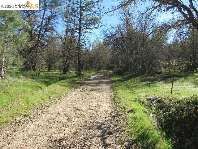 Detail Gallery Image 23 of 27 For 17060 Jupiter Dr., Twain Harte,  CA 95383 - – Beds | – Baths