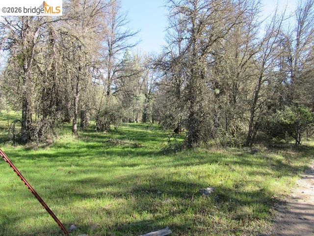 Detail Gallery Image 26 of 27 For 17060 Jupiter Dr., Twain Harte,  CA 95383 - – Beds | – Baths