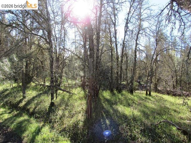 Detail Gallery Image 27 of 27 For 17060 Jupiter Dr., Twain Harte,  CA 95383 - – Beds | – Baths