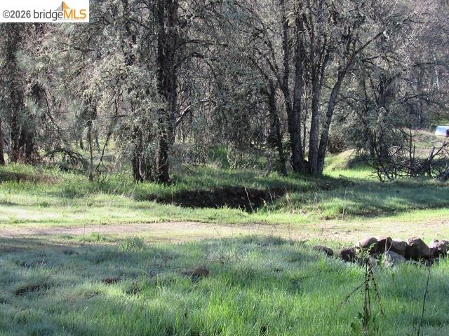 17060 Jupiter Dr., Twain Harte, CA, 95383