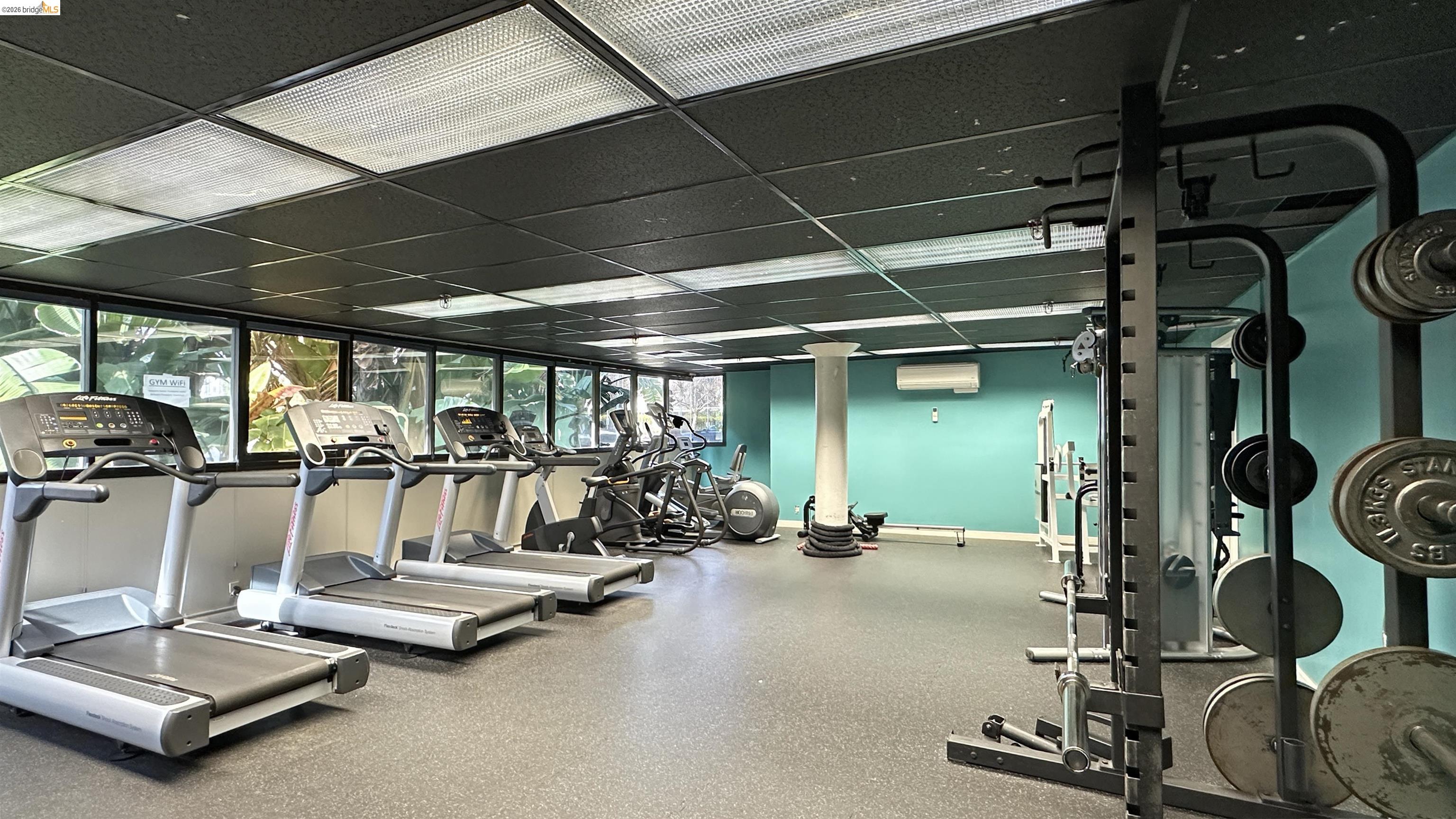 Photo #19: 41128462 Listing: Photo #19