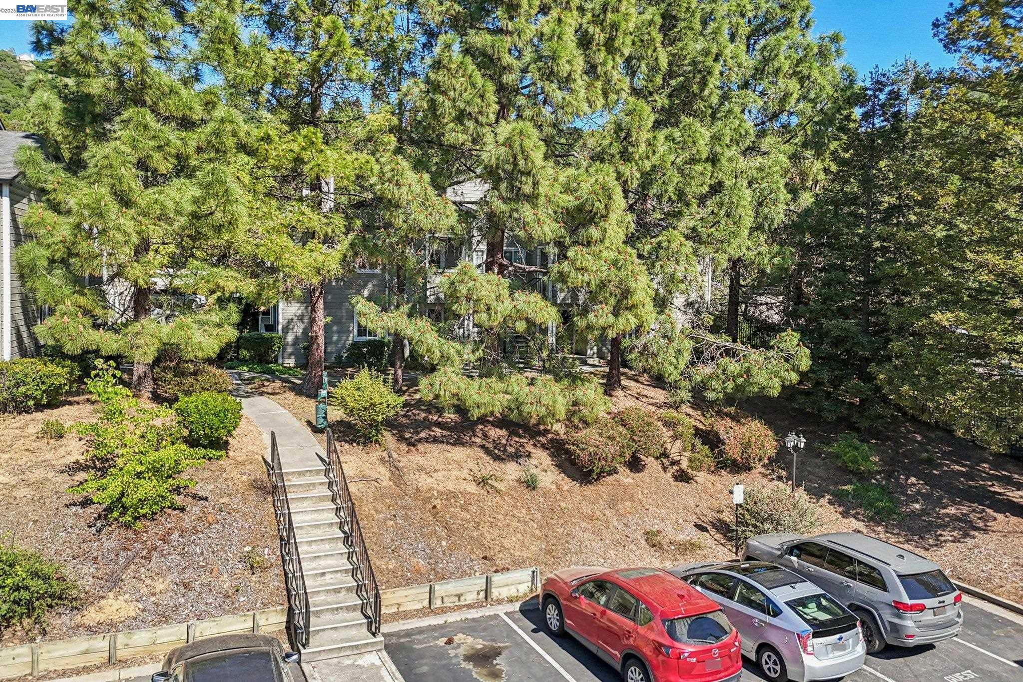 Photo #47: 41128466 Listing: Photo #47