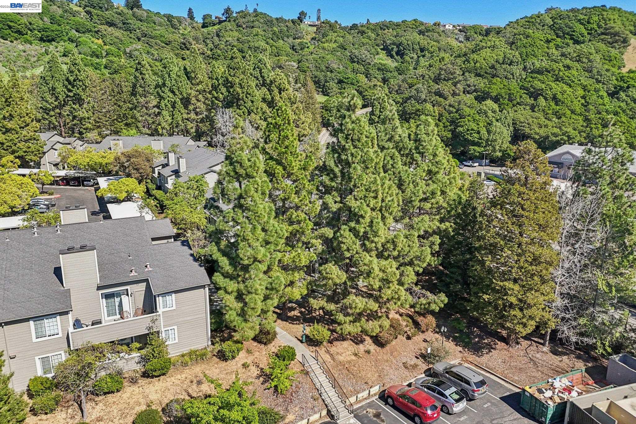 Photo #49: 41128466 Listing: Photo #49